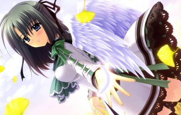 Look, girl, wings, anime, petals, form