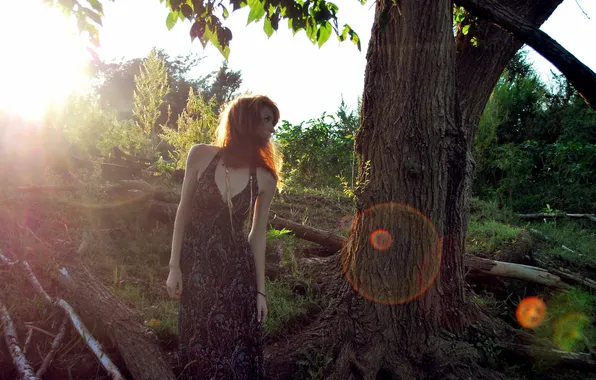 Picture girl, light, nature, tree