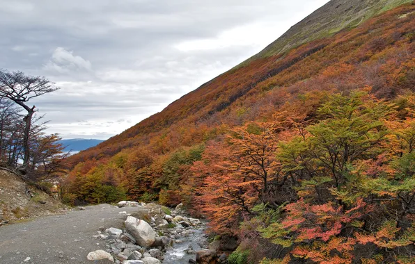 Picture autumn, the sky, trees, mountains, stream, slope
