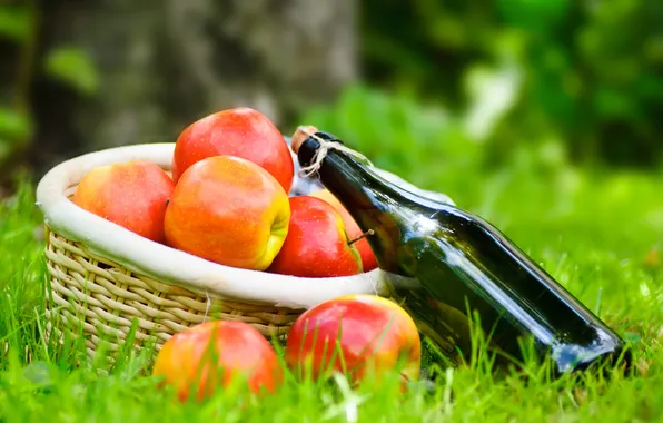 Grass, wine, basket, apples, bottle, picnic, napkin