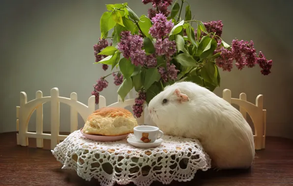 Picture animals, spring, may, cakes, lilac, pig, composition, bun