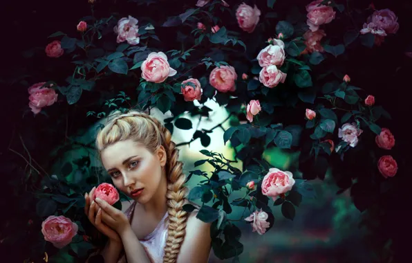 Flower, look, leaves, girl, flowers, nature, face, pose