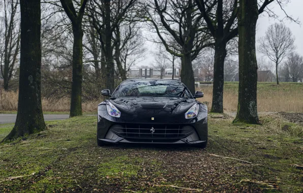 Ferrari, black, front, view, berlinetta, F12