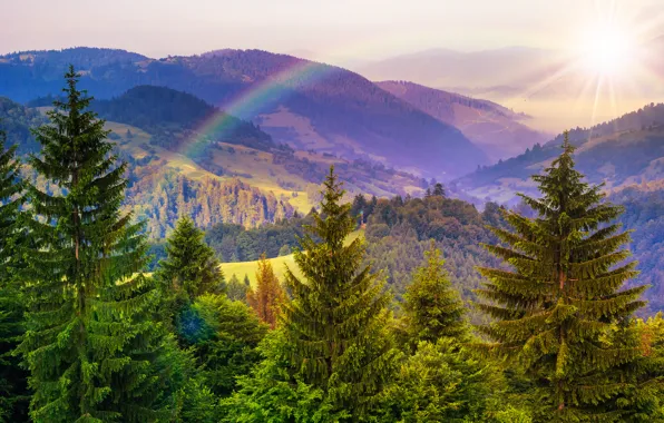 Picture trees, mountains, nature, rainbow, rainbow, trees, nature, the sun's rays