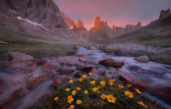 Flowers, mountains, fog, river, stones, shore, stream, yellow