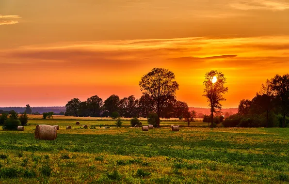 Picture summer, landscape, sunset
