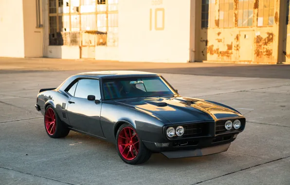 One, Pontiac, 1968, Firebird, Wheels, Forgeline, Monoblock, VX1