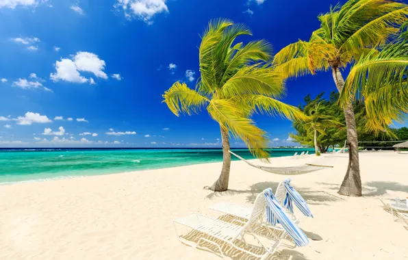 Sand, sea, beach, palm trees, shore, summer, beach, sea