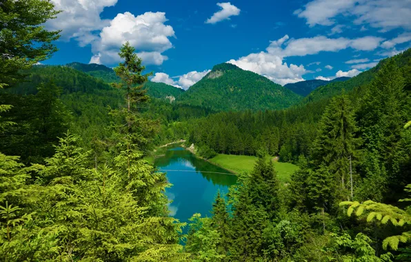 Forest, trees, mountains, lake, Germany, Bayern, Germany, reservoir