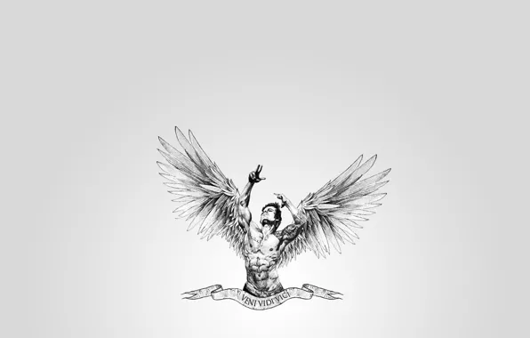 Picture wings, muscle, bodybuilding, body, zyzz, veni, aesthetic, vici