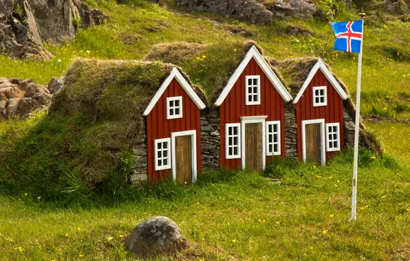 Grass, stones, flag, houses, Iceland