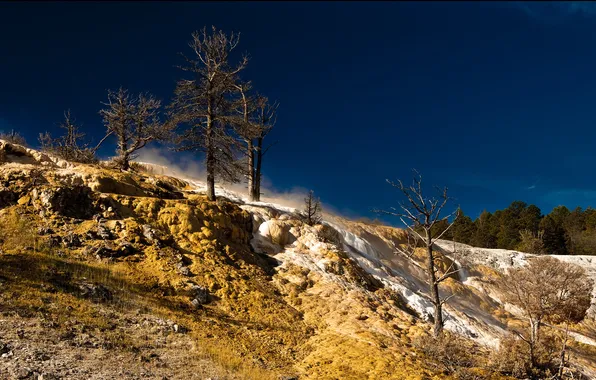 Picture USA, Wyoming, mammoth springs