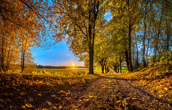 Road, autumn, the sky, the sun, trees, sunset