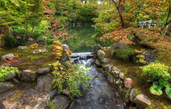 Trees, Park, stones, river, the bridge