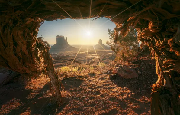 Mountains, tree, rocks, view, Monument Valley