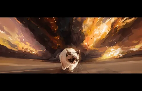The explosion, background, gait, Grumpy cat, grumpy cat, Tard