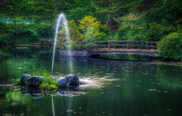 Greens, grass, trees, bridge, pond, Park, stones, Japan