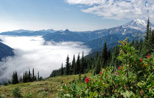 Picture landscape, mountains, USA, Naches Loop