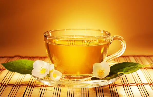Flower, leaves, tea, Cup, saucer, Jasmine, tea