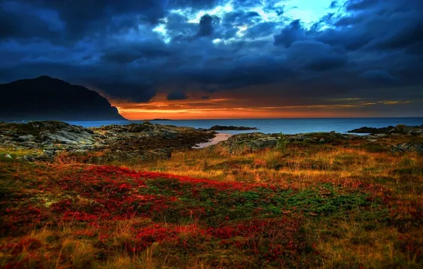 Picture sea, the sky, grass, sunset, rocks, dark