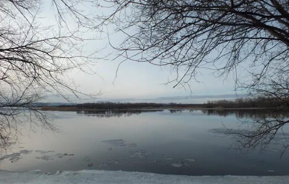 Ice, trees, nature, island, Spring, Volga