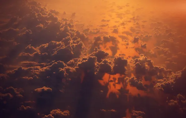 Picture the sky, clouds, sunset, the evening, sunset