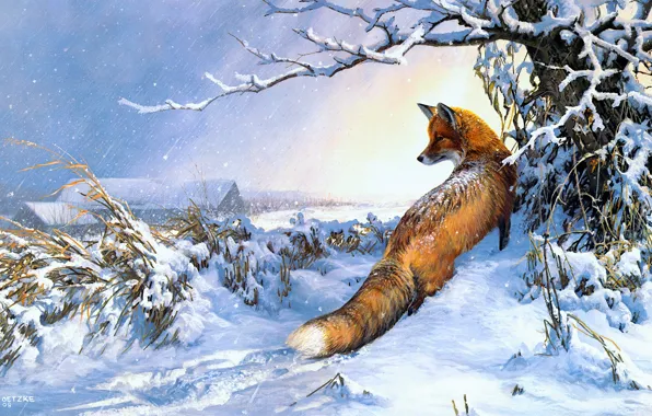 Winter, field, snow, trees, home, picture, art, Fox