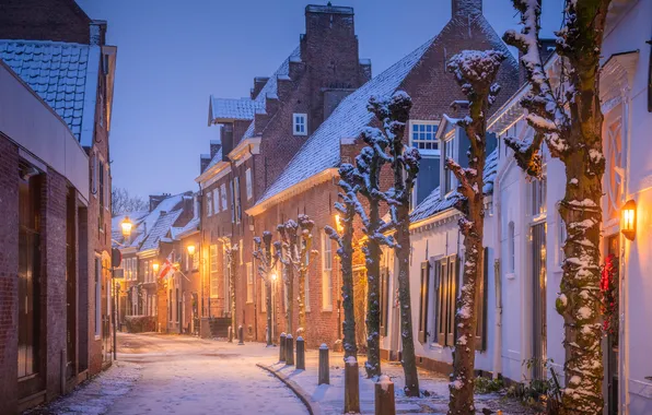 Picture winter, snow, trees, street, building, home, Netherlands, Netherlands