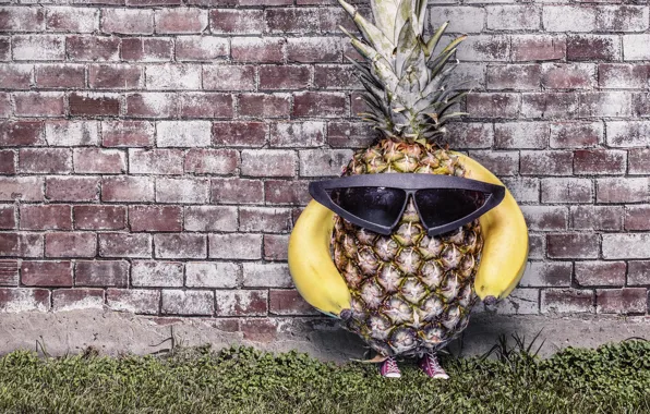 Picture wall, sneakers, brick, glasses, pineapple, still life, brick wall