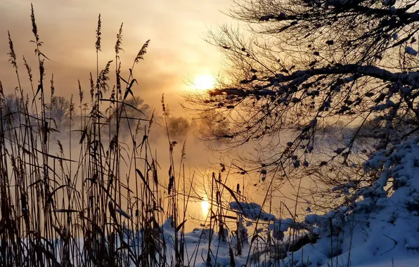Landscape, fog, river, morning