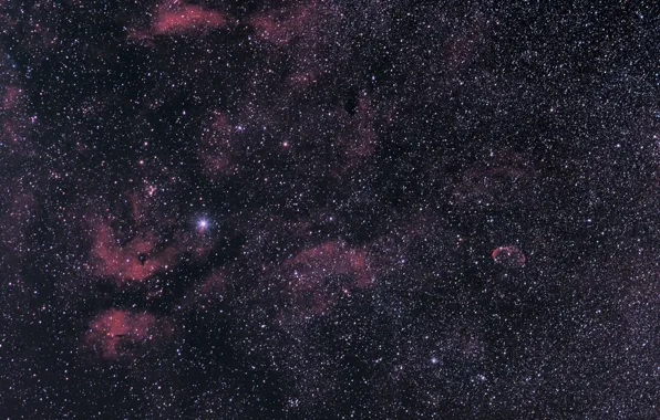 Star, second, Gamma Cygnus, the constellation of the Swan, brightness