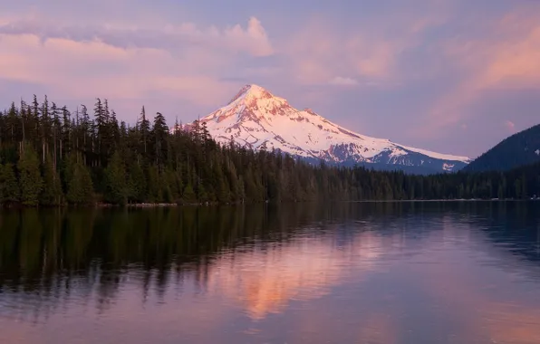 Forest, trees, lake, Mountains