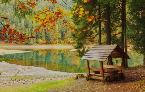 Autumn, forest, lake, Park, shore, foliage, house, benches
