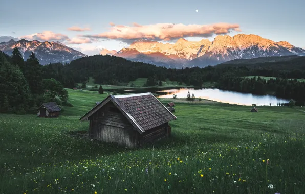 Field, forest, summer, the sky, grass, clouds, flowers, mountains