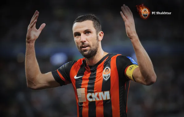 Picture The game, Sport, Face, Football, Nike, Darijo Srna, Miner, Player