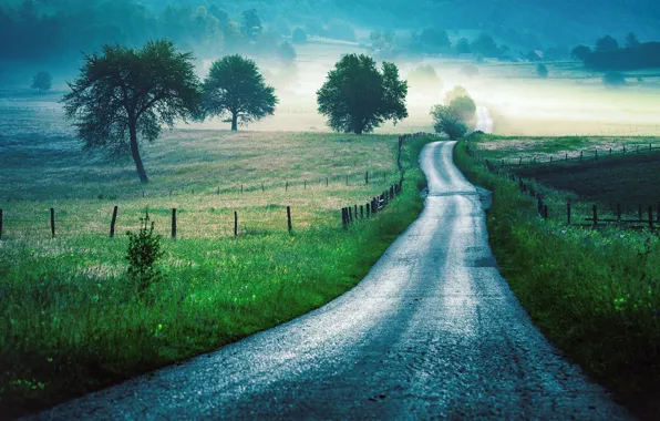 Picture road, field, space