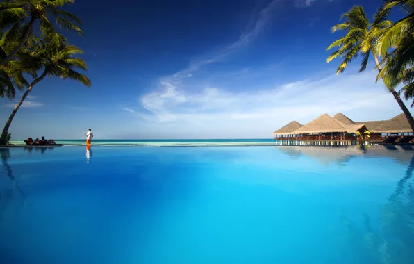 Picture palm trees, the ocean, pool, resort, fantastic Maldives