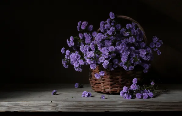 Board, basket, chrysanthemum, the dark background