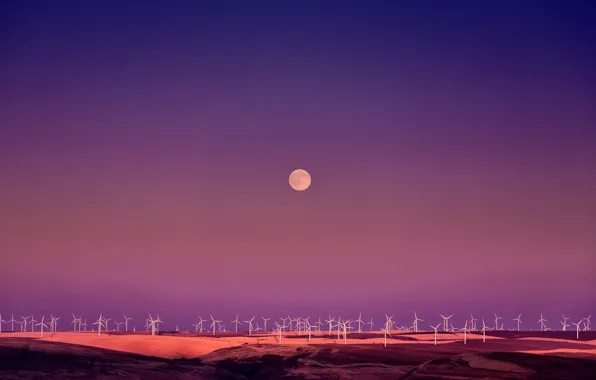 Picture field, the moon, twilight, wind turbine
