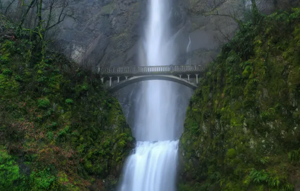 Green, waterfall, Bridge
