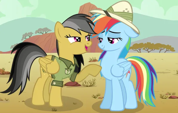 Picture Rainbow Dash, My little pony, MLP, Daring Do, MLP:FIM