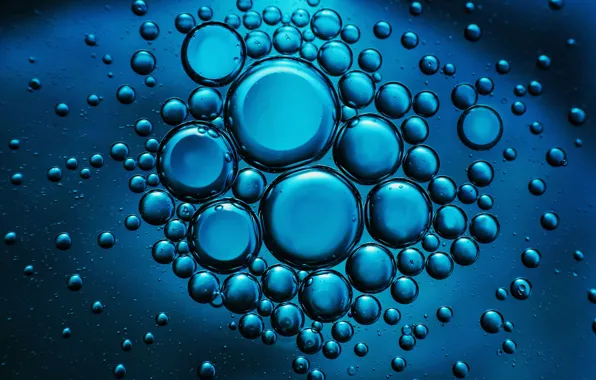 Macro, blue, bubbles