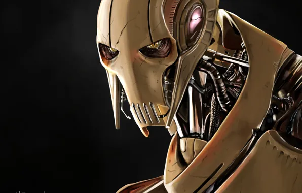 Star Wars, General Grievous, Cyborg, Qymaen Jai Shelal, The Confederacy of independent systems, Supreme commander …