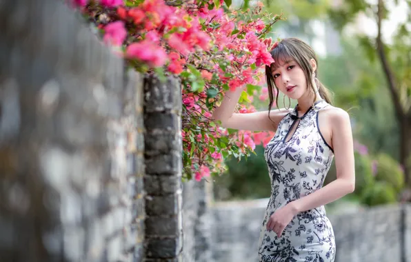 Dress, Asian, cutie, figures, bokeh