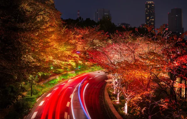 Road, trees, night, lights, home, Japan, Tokyo, lights
