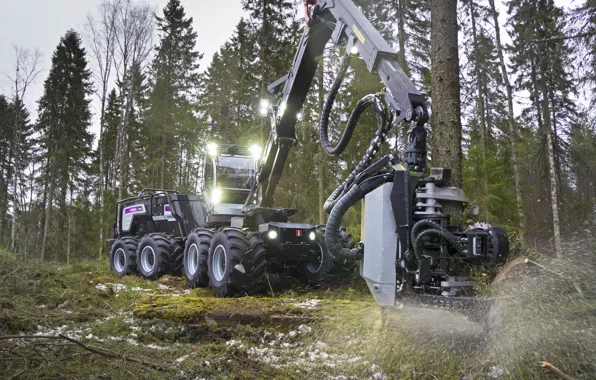Forest, trees, sawdust, wheel, chips, forestry equipment, harvester, the arrow of harvestr