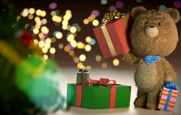 Toy, bear, bear, gifts, box