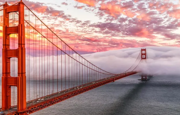 Bridge, fog, Strait, San Francisco, Golden Gate, USA