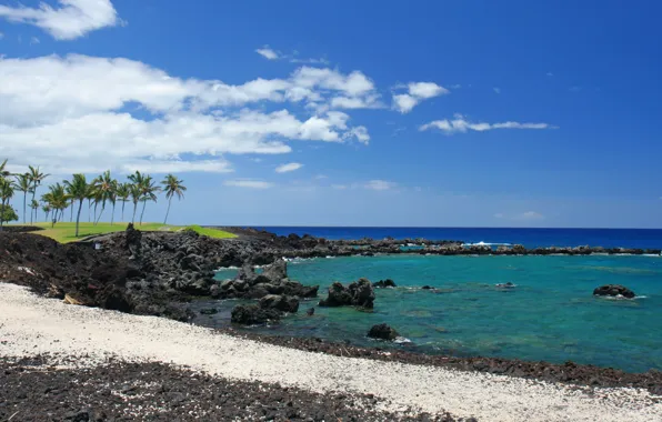 Picture sea, the sky, clouds, tropics, stones, palm trees, coast, horizon