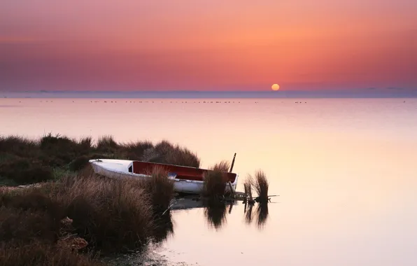 Water, the sun, sunset, boat, the evening